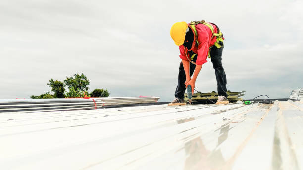Best Steel Roofing  in Thorndale, PA